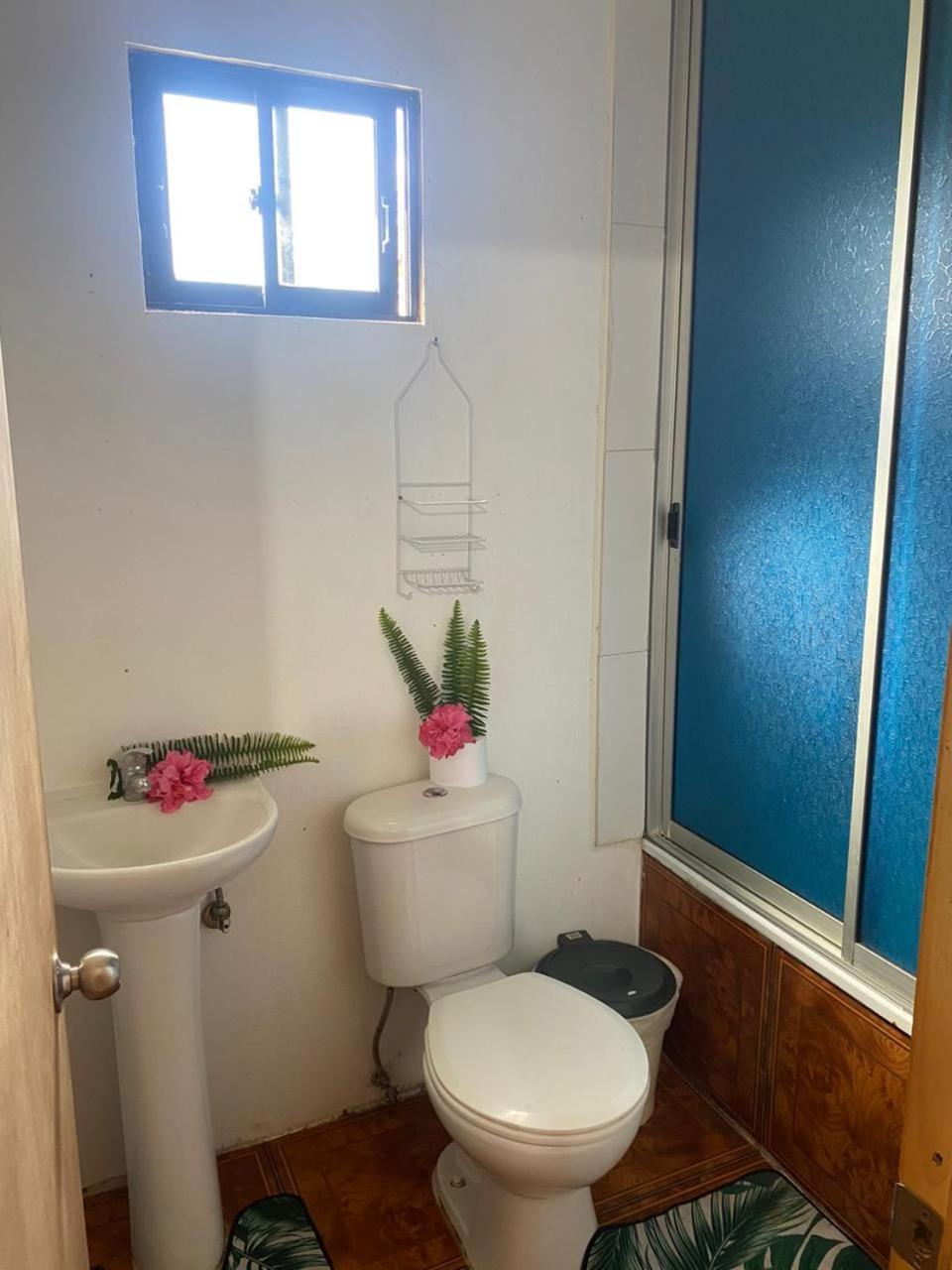 Albergue Pua Vaenga Hanga Roa Exterior foto